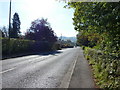 Mitton Road, Whalley in BB7 9GU