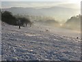 Braidburn Valley Park in November snow in EH10 6PQ