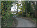 Lane through Hinton in Pontesbury