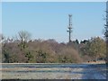 Telecoms mast behind the trees in CW11 2SN