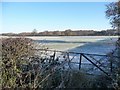 Frosty field on a cold morning in CW11 1RR