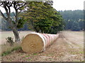 Big bales, Slaughs in DD8 1TA
