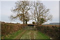 East Devon : Farm Track & Gate in EX14 3BB