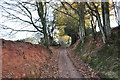 East Devon : Uphill Public Footpath in EX14 3FD