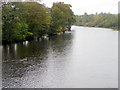 River Tummel in PH16 5AA