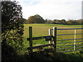 Footpath across farmland at Tote Hill in SO51 0JU