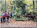 Old trailer on footpath in Great Oaks Wood in RG8 7RT