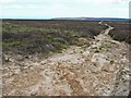 Track on Fylingdales Moor in YO22 4QJ