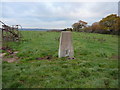 Trig Point at Cobley Hill, Alvechurch in B48 7DE