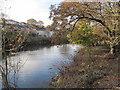 River Taff by Taff Trail in Llandaff Community
