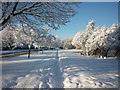 The foot / cycle path on Sutton Road, Hull in HU7 0ER