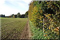 Footpath along the hedge in ME10 1GB