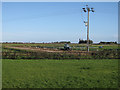 Vegetable field, Dunkirk in Downham