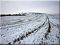 Winter fields above the Bela in Beetham