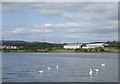 Broadwood Loch, Cumbernauld in G68 9EF