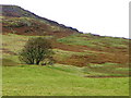Upland grazing near Corrymuckloch in PH8 0EG