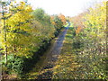 Cycle Path towards Newburn in NE15 8SG
