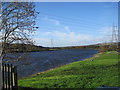 The River Tyne at Newburn in NE15 8PY