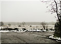 Marshes at Denton looking towards the River Waveney in NR35 2AG
