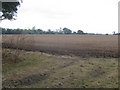 Ploughed field between M11 and railway in RM4 1XX