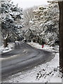 Talbot Woods: Glenferness Avenue in snow in BH4 9LZ