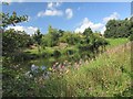 Lake within Sankey Valley Park in WA11 9RW
