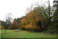 Autumnal colours, 1066 Country Walk in TN33 0FW