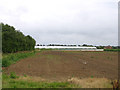 Polytunnels south of Pinchbeck, Lincs in PE11 3PX