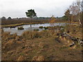 Pond, Brookwood Heath in GU24 0JY