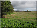 Stubble field by Fallow Corner Drove in PE15 0LY