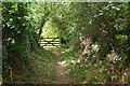 Sandford: footpath near Stoneshill Cross in EX17 4EE