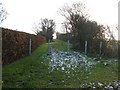 Coppingford Lane in Upton and Coppingford