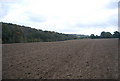 A very large fallow field in TN5 6QS