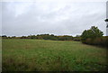 Fields by the Sussex Border Path in TN5 6QS