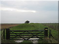 Gate to Romney Marsh Nature Reserve in TN29 9TJ
