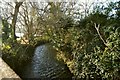 The downstream view of the river Caen from Butts Bridge in EX33 2ES