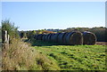 Wrapped bales, East heath in TN18 4HU