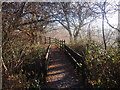 Llwybr Ynys Dawela Footpath in SA18 1TF