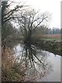 River Cam downstream of Byron's Pool in CB2 9FX