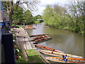 The river at the Cherwell Boathouse in OX2 6XA
