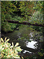 Dollis Brook in Barnet