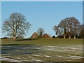 View across field to Lower Cowesfield Farm in SP5 2QZ