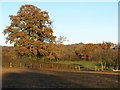 View across fields at Rowden's Farm in SO51 6FT