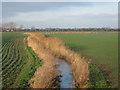 Drainage channel near Hook Wall in TN29 9TN