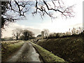 Road to Hales church in NR14 6NP