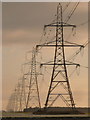 Nordelph: a long straight line of pylons in PE38 0BX