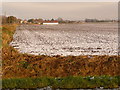 Nordelph: snow-covered field in PE38 0BW