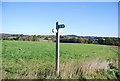 Footpath junction, Sussex Border Path, Northlands in TN32 5UX