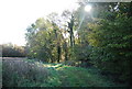 Sussex Border Path along a woodland edge in TN32 5UX