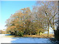 Footpath through snowy woodland in HR2 8SE